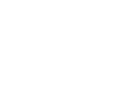 FORMA 1